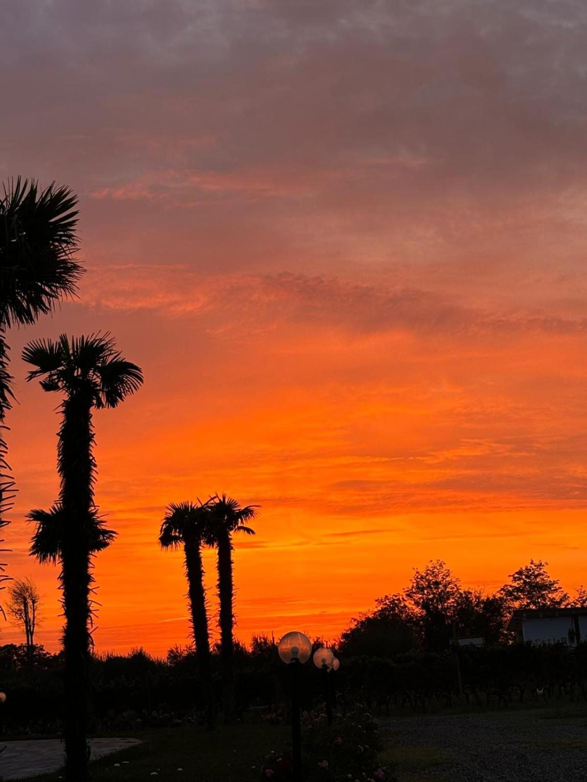 Masseria Spinale Wine Resort メルフィ エクステリア 写真
